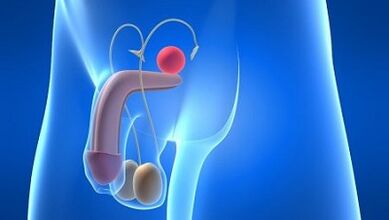Smarowanie u mężczyzn podczas podniecenia, czym to jest
