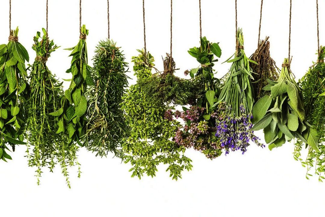 tropikalny ekstrakt ziołowy w Eroboost